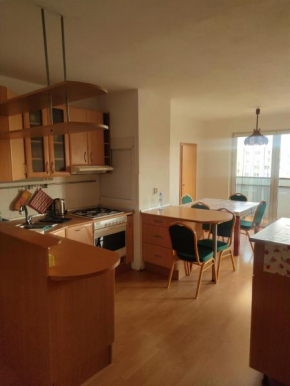 Fast Apartment close by centrum